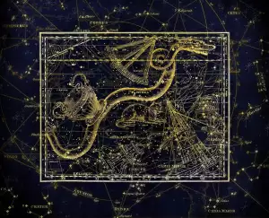 Hydra