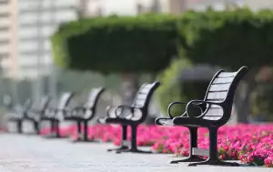 Bench